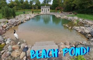 beaches and ponds